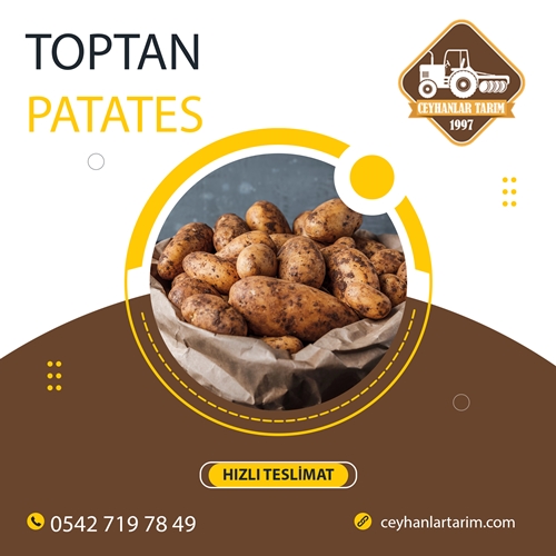 Toptan Patates