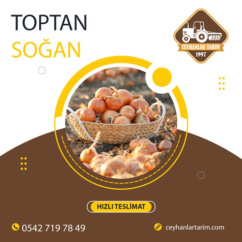 Toptan Soğan